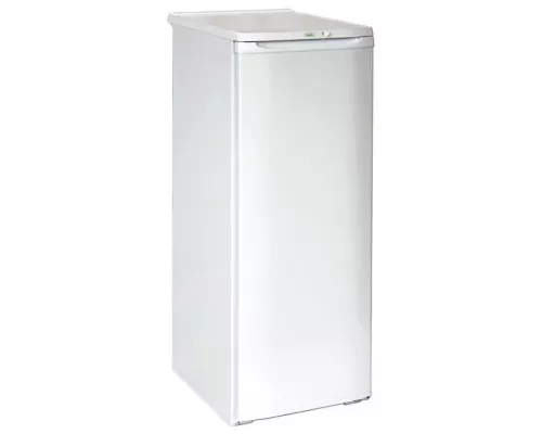 Холодильник Бирюса 110