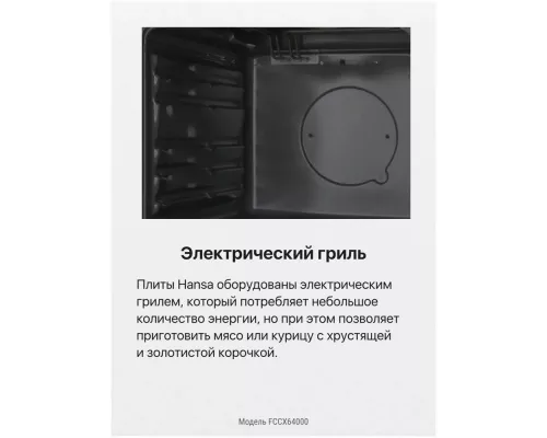 Кухонная плита Hansa FCCX64000