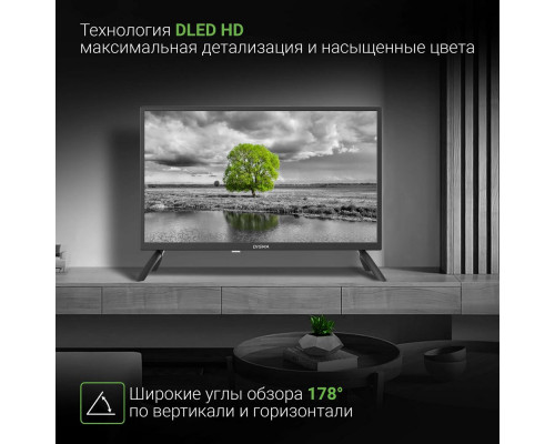 Телевизор DIGMA DM-LED24SBB31 Телевизор DIGMA DM-LED24SBB31
