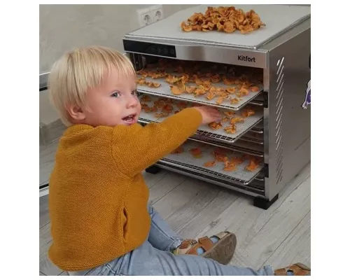 Сушилка для овощей и фруктов Kitfort КТ-1910 нерж.сталь