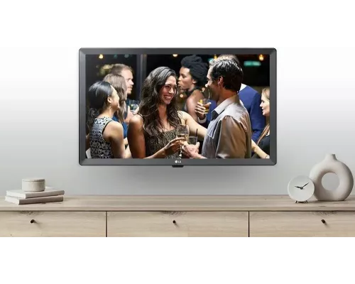 Телевизор LG 24TQ510S-PZ