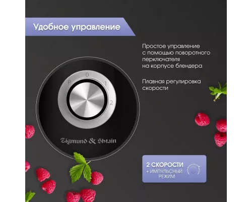 Блендер Zigmund & Shtain BS-443 D