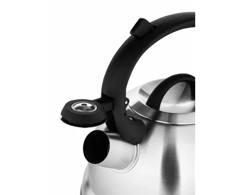 Чайник Hoffmann HM-55123