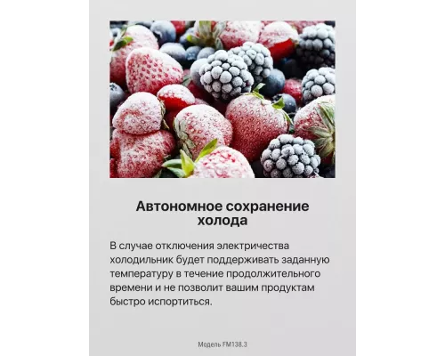 Холодильник Hansa FM138.3 белый