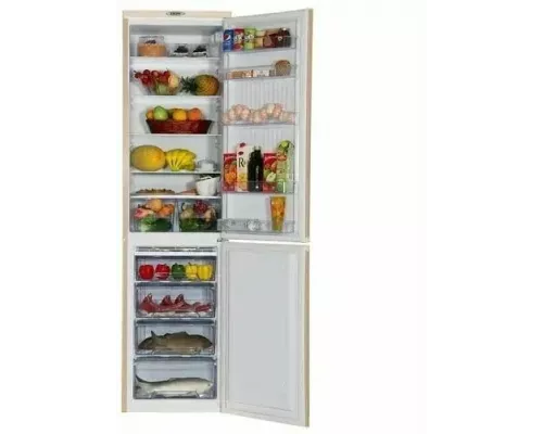 Холодильник DON R-299 ZF золотой цветок