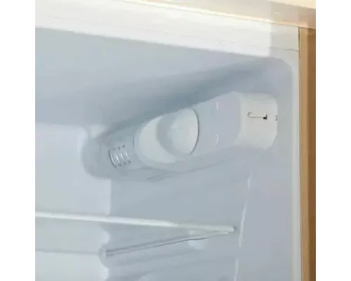 Холодильник DON R-299 ZF золотой цветок