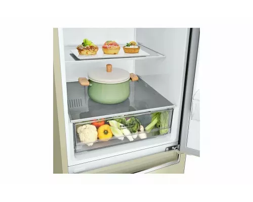 Холодильник LG GC-B509SECL