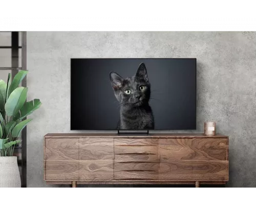 Телевизор Samsung QE77S90CAUXRU