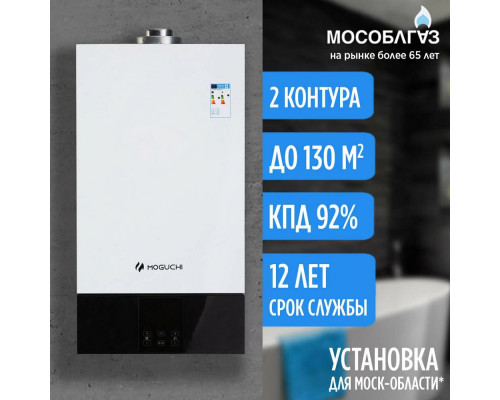 Газовый котел MOGUCHI GBL 13F