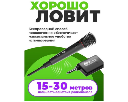 Микрофон Ritmix RWM-100