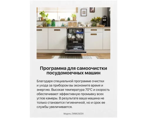 Посудомоечная машина Hansa ZWM626ESH