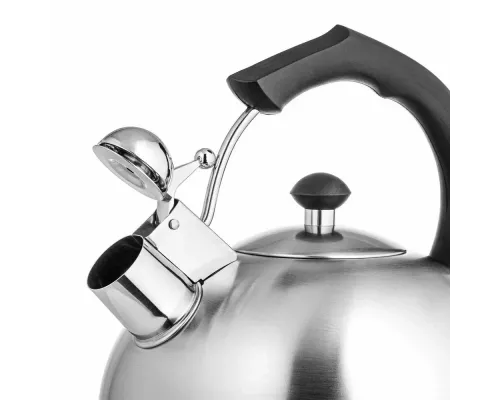 Чайник LARA LR00-06