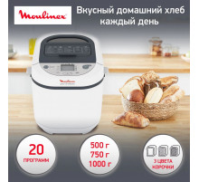 Хлебопечь MOULINEX OW250132