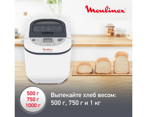 Хлебопечь MOULINEX OW250132