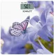 Весы напольные Scarlett SC-BS33E072