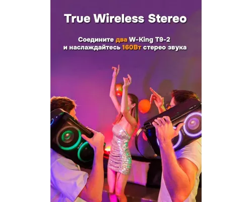 Портативная колонка W-King T9 II (2 микрофона)
