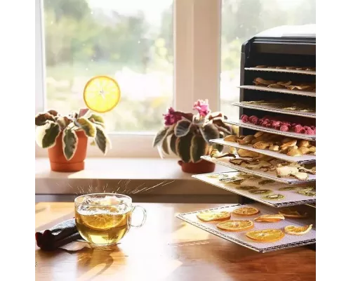 Сушилка для овощей и фруктов Kitfort KT-1908