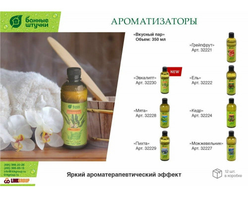 Ароматизатор для бани и сауны Банные штучки Вкусный пар мята 350мл 32228