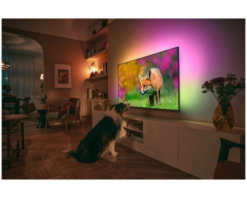 Телевизор Philips 55PUS8519/60 Телевизор Philips 55PUS8519/60