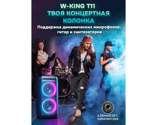 Портативная колонка W-King T11+ (Two mic)