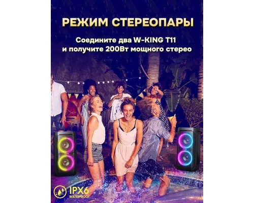 Портативная колонка W-King T11+ (Two mic)