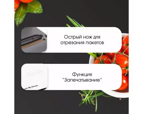 Вакуумный упаковщик Zigmund & Shtain VS-506