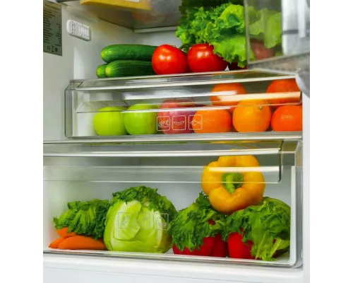 Встраиваемый холодильник LEX RBI 250.21 DF