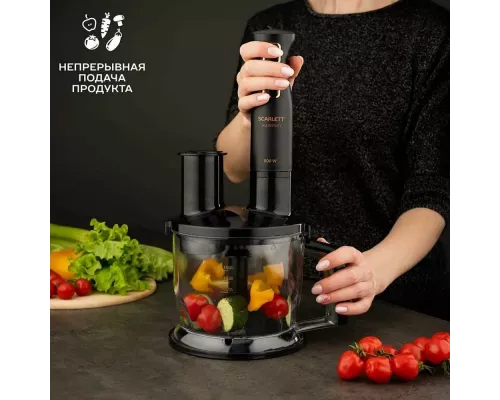 Блендер Scarlett SC-HB42K09 черный