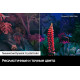 Телевизор Samsung UE43BU8000UCCE