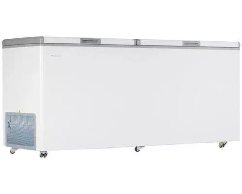 Морозильный ларь Frostor F 700 SD белый