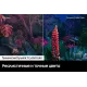 Телевизор Samsung UE43BU8000UCCE