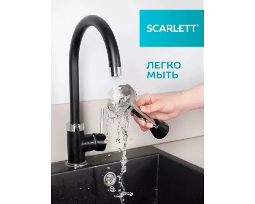 Блендер Scarlett SC-HB42F81 черный