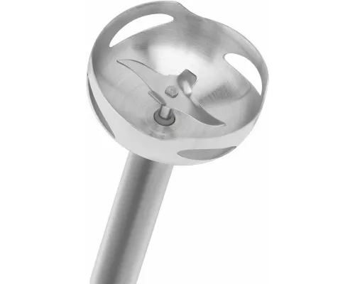 Блендер Scarlett SC-HB42F81 черный