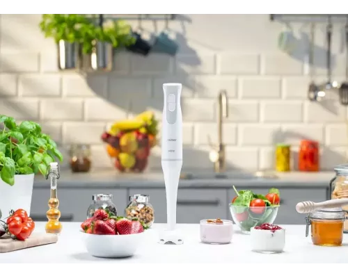 Блендер ZELMER ZHB4550S серый