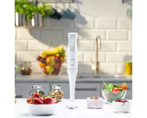 Блендер ZELMER ZHB4550S серый