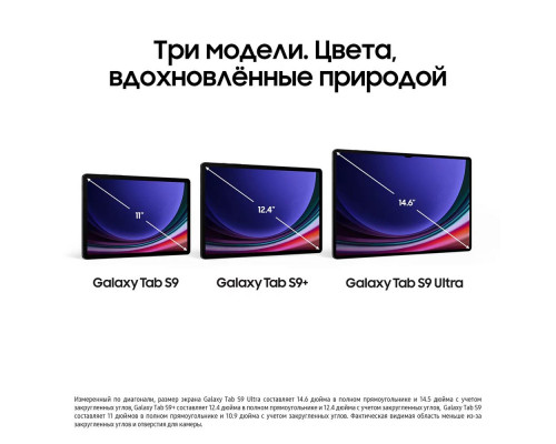 Планшет Samsung Galaxy Tab S9 Plus SM-X810 12/256Gb Graphite Wi-Fi