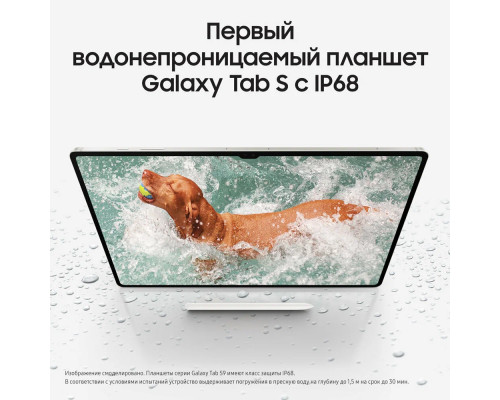 Планшет Samsung Galaxy Tab S9 SM-X716 B 8/128Gb Beige 5G