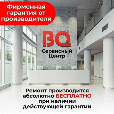 Измельчитель BQ CH1002 Black-Silver