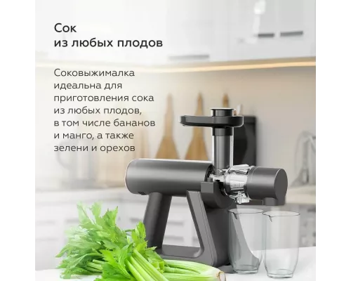Соковыжималка BQ J2002 Gray