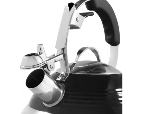 Чайник MAUNFELD MRK-119BK черный