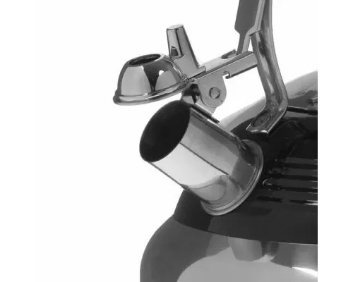 Чайник MAUNFELD MRK-119BK черный