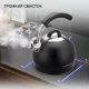 Чайник StarWind Chef Concept SW-CH1510 черный