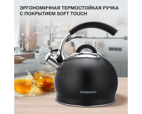 Чайник StarWind Chef Concept SW-CH1510 черный