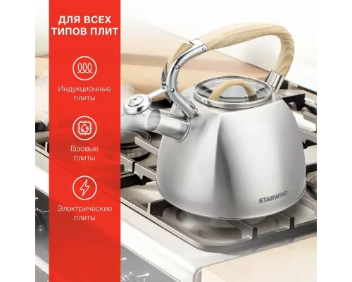 Чайник StarWind Chef Daily SW-CH1308 сталь