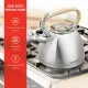 Чайник StarWind Chef Daily SW-CH1308 сталь