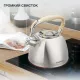 Чайник StarWind Chef Daily SW-CH1308 сталь