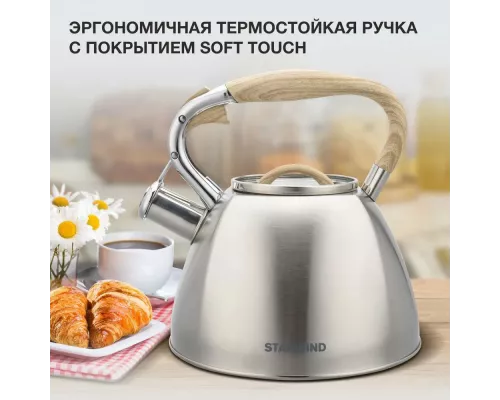 Чайник StarWind Chef Daily SW-CH1308 сталь
