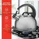 Чайник StarWind Chef Family SW-CH1106 сталь