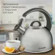 Чайник StarWind Chef Family SW-CH1106 сталь