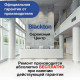 Чайник Blackton Bt KT1812S сталь-черный